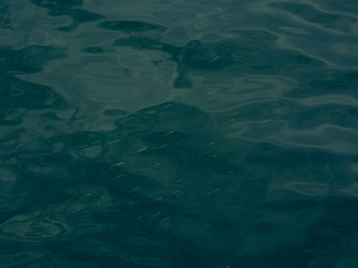 Water ripples on a dark surface